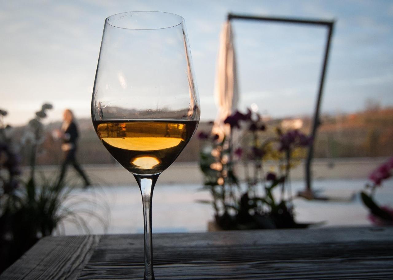 Klanjscek Wine&Stay ゴリツィア エクステリア 写真